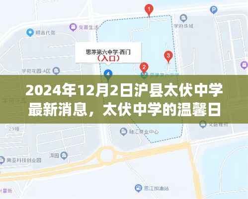 沪县太伏中学最新动态,友情与爱在温馨日常中绽放(2024年12月2日)