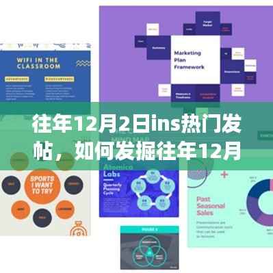 往年12月2日Instagram热门发帖全解析,从初学者到进阶用户的实用指南