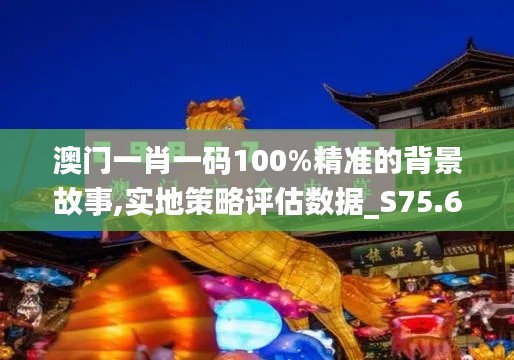 澳门一肖一码100%精准的背景故事,实地策略评估数据_S75.654