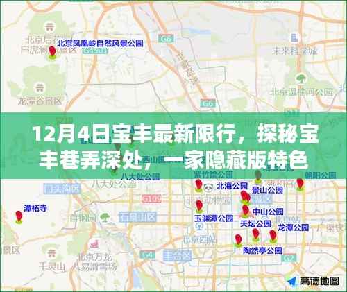 揭秘宝丰限行下的独特风情，隐藏版特色小店探秘