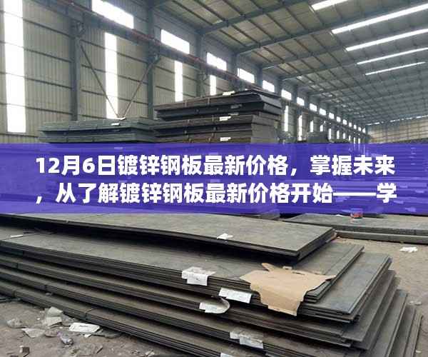 镀锌钢板最新价格动态,掌握未来,自信闪耀的启程之旅