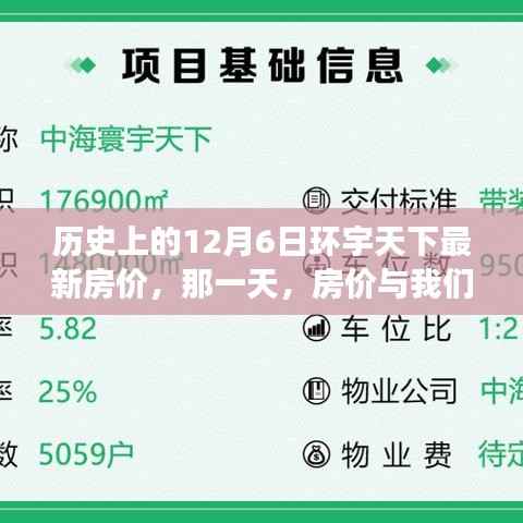 历史上的房价风云,揭秘12月6日环宇天下最新房价背后的故事