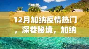 不飞则已 第4页