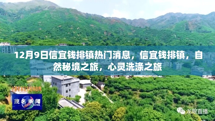 信宜钱排镇,自然秘境的心灵洗涤之旅热门消息揭秘