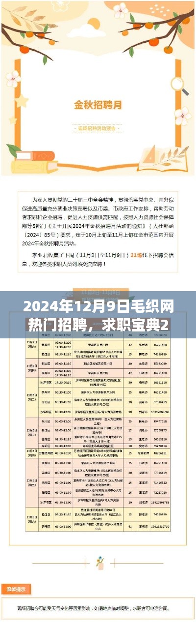毛织网热门招聘应聘全攻略,初学者与进阶用户求职宝典