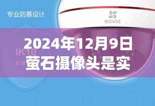 萤石摄像头开启实时录音功能，记录生活的每一刻（2024年12月9日小红书推荐）