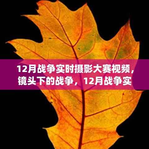 镜头下的战争,深度解读12月战争实时摄影大赛视频