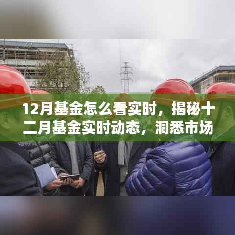 揭秘十二月基金实时动态,洞悉市场走势,把握投资先机,实时掌握基金动态助力投资决策。
