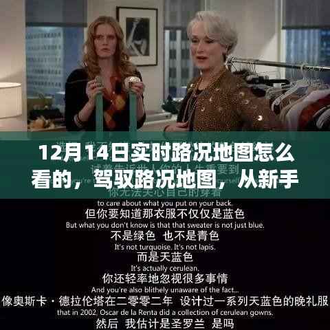 伤弓之鸟 第3页