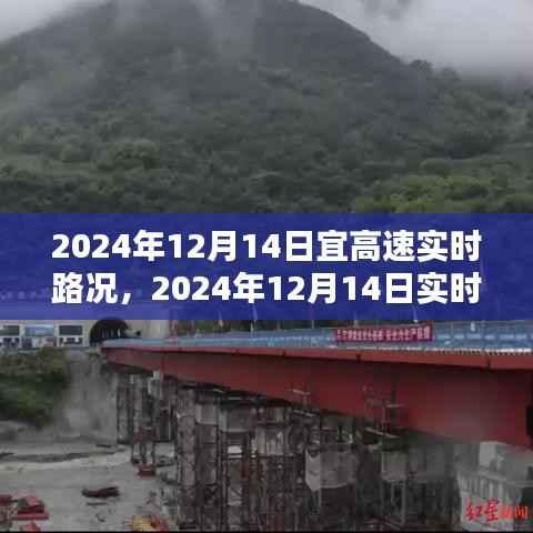 2024年12月14日实时路况分析与出行指南,高速路况早知道