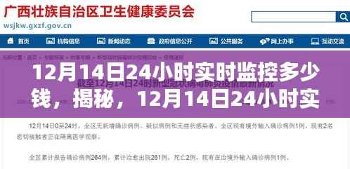 揭秘，12月14日24小时实时监控的费用究竟是多少？详细解析费用情况！