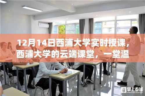 西浦大学云端课堂,实时授课之旅的温馨与趣味