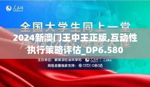 2024新澳门王中王正版,互动性执行策略评估_DP6.580