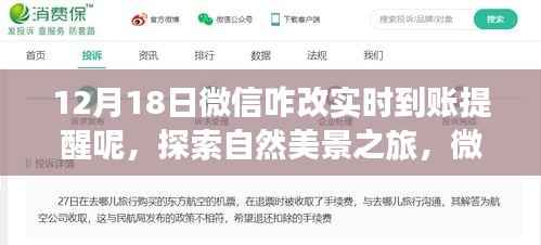 微信实时到账提醒设置与探索自然美景的心灵之旅