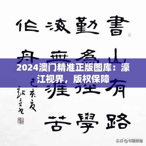 2024澳门精准正版图库:濠江视界,版权保障
