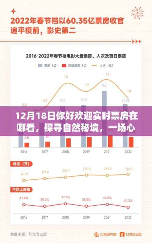 探寻自然秘境的心灵之旅,实时票房见证冒险启程