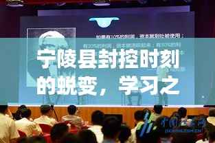 宁陵县封控时期的蜕变，学习之光引领前行之路