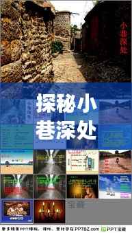 探秘小巷深处的宝藏，揭秘新三板实时挂单软件背后的故事