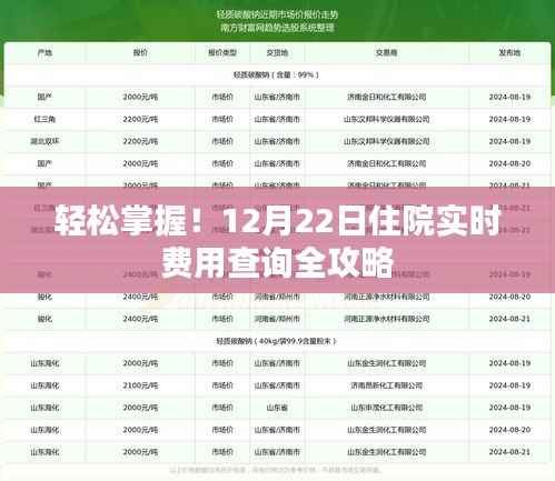 12月22日住院实时费用查询攻略,轻松掌握费用信息