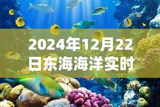 东海海洋实时动态,2024年12月22日更新