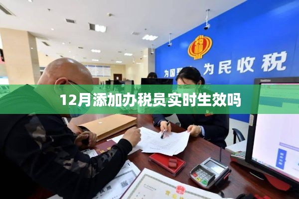 办税员实时生效时间解析,12月办理须知
