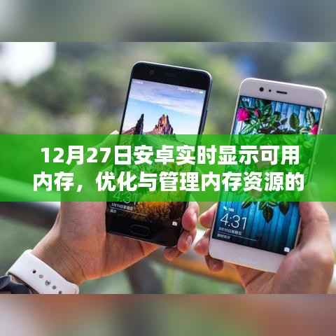 安卓实时内存管理,优化内存资源的重要性