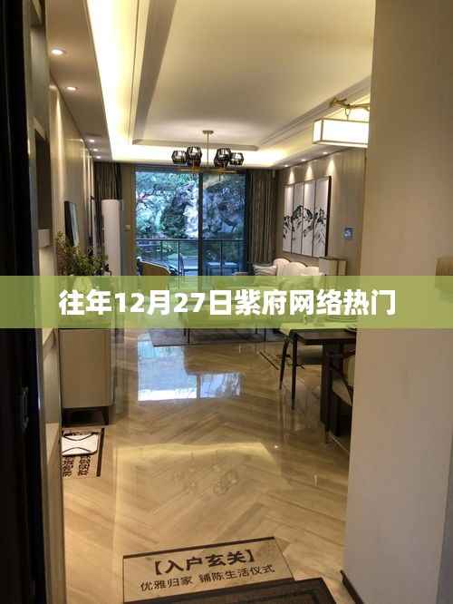 紫府网络年终盛事,揭秘历年十二月二十七日热点话题