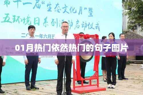 仓储物流园 第215页