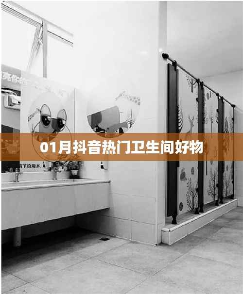 抖音热门卫生间好物推荐(精选榜单)