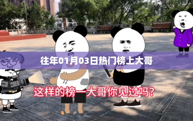 热门榜大哥,历年01月03日的记忆焦点