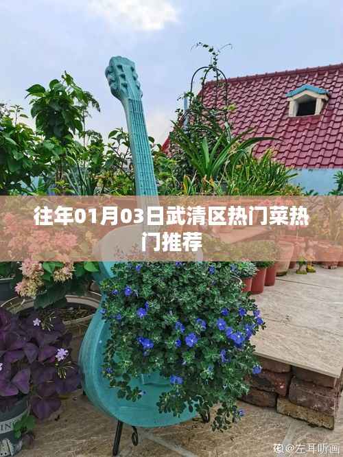 武清区热门菜推荐榜单(历年精选)