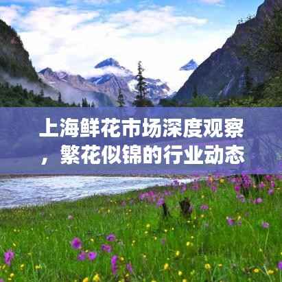 上海鲜花市场深度观察，繁花似锦的行业动态分析
