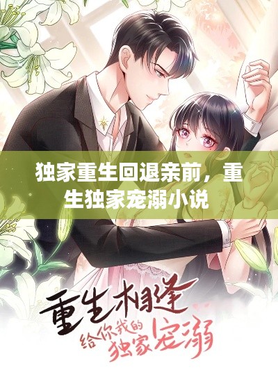 独家重生回退亲前,重生独家宠溺小说