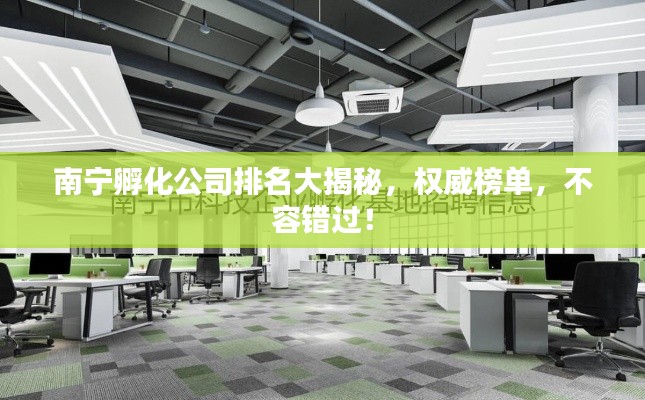 南宁孵化公司排名大揭秘,权威榜单,不容错过!