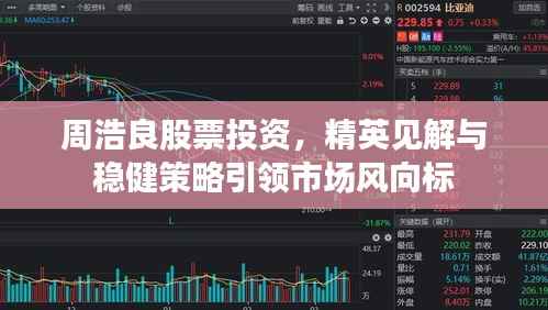 周浩良股票投资,精英见解与稳健策略引领市场风向标