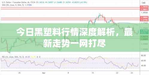 今日黑塑料行情深度解析，最新走势一网打尽
