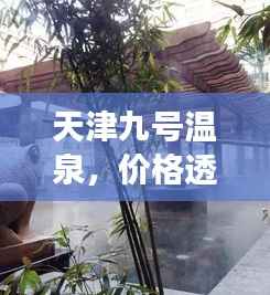 天津九号温泉,价格透明,体验攻略全解析!