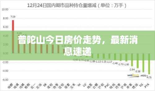 普陀山今日房价走势，最新消息速递