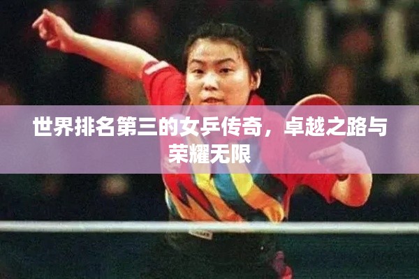 世界排名第三的女乒传奇,卓越之路与荣耀无限