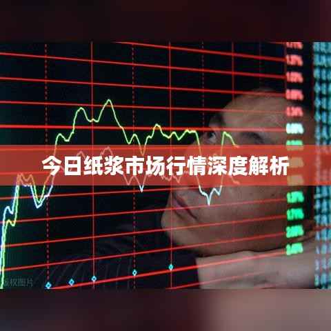 今日纸浆市场行情深度解析