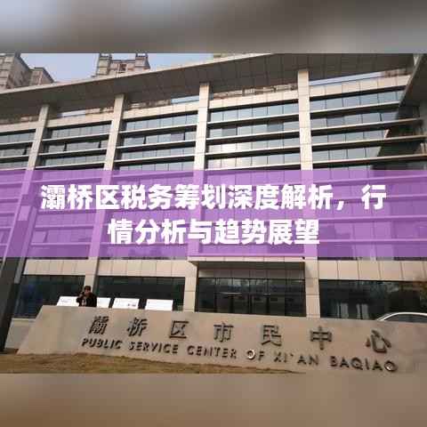 灞桥区税务筹划深度解析，行情分析与趋势展望