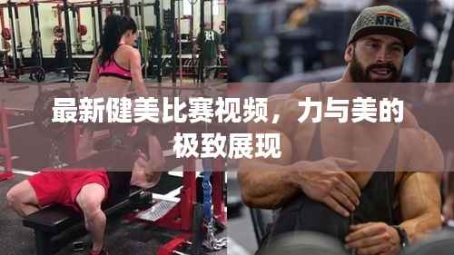 最新健美比赛视频,力与美的极致展现