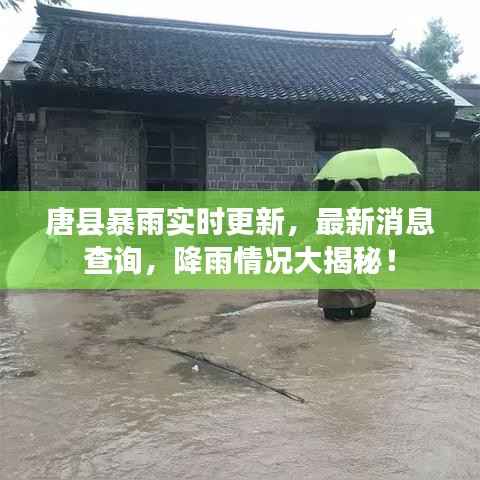 唐县暴雨实时更新,最新消息查询,降雨情况大揭秘!