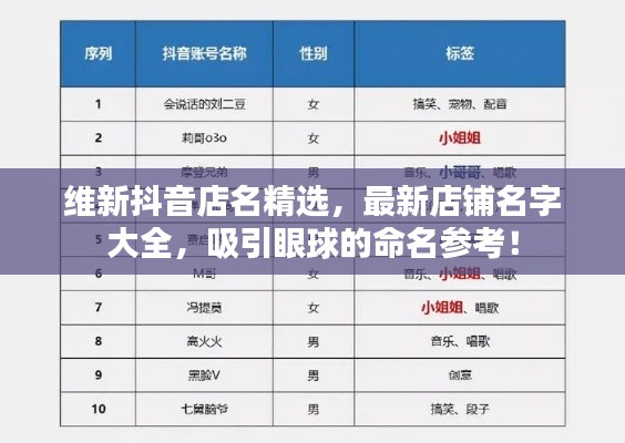 维新抖音店名精选，最新店铺名字大全，吸引眼球的命名参考！