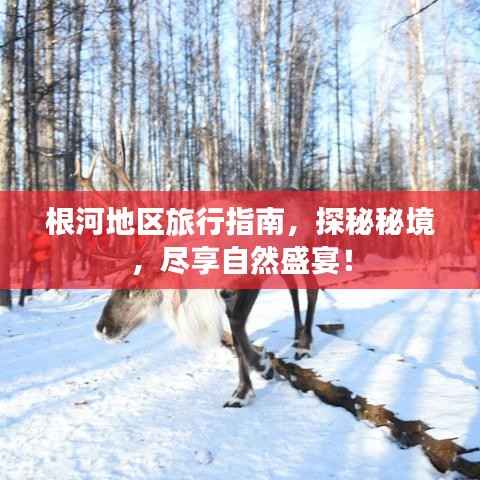 根河地区旅行指南，探秘秘境，尽享自然盛宴！