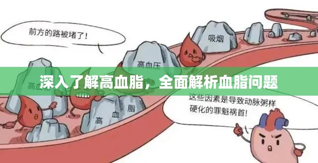 深入了解高血脂，全面解析血脂问题