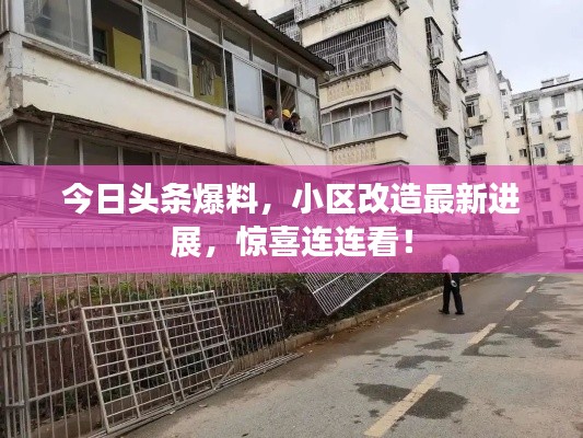 今日头条爆料,小区改造最新进展,惊喜连连看!