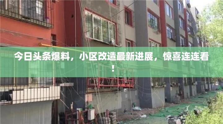 今日头条爆料,小区改造最新进展,惊喜连连看!
